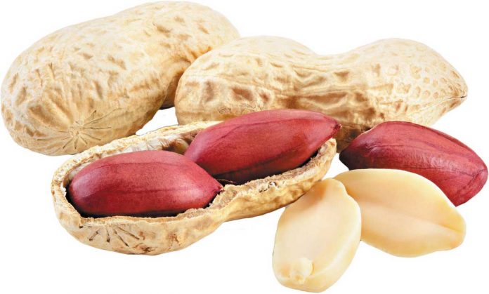Peanut must be consumed in winter there are many benefits of use