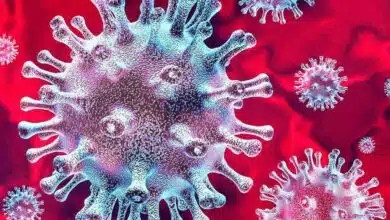 Corona virus has been confirmed during investigation at Kolkata Airport among two passengers who returned from UK