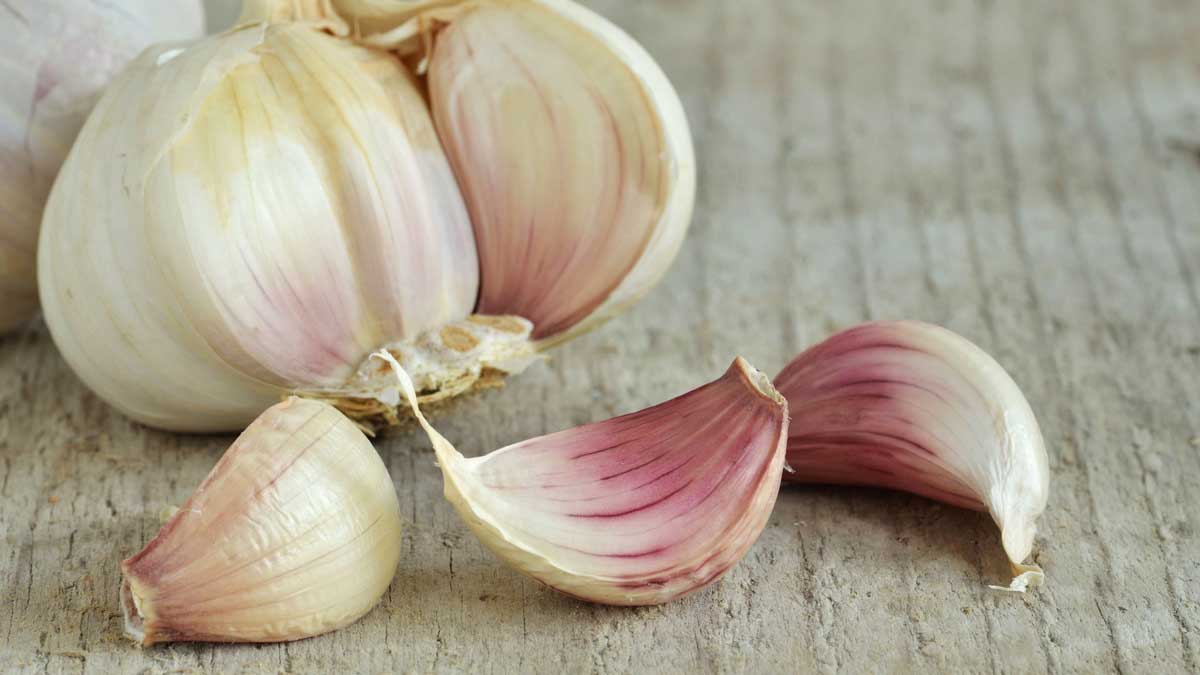 Eating garlic on an empty stomach in the morning can benefit the body's health in many way