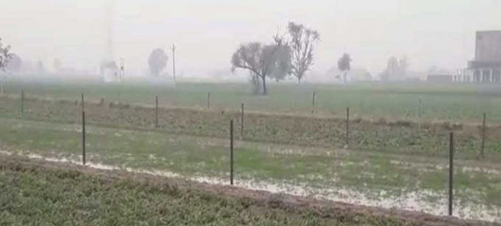 Hailstone with rain in West UP concern of farmers increased they are worried