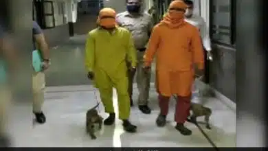 Delhi News 2 arrested for allegedly robbing people using monkeys