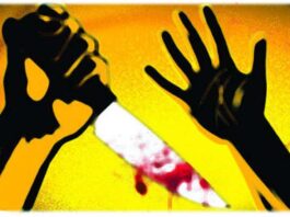 Hyderabad Murder News: Man surrenders to police after killing wife and mother-in-law