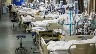 Rajasthan Records 11967 new Covid-19 cases 53 deaths