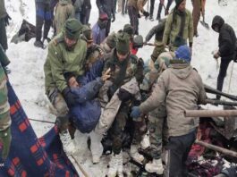 Uttrakhand Avalanche 384 rescued eight bodies recovered six critical