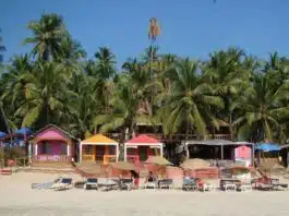 15 days curfew in Goa from Sunday