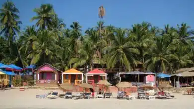 15 days curfew in Goa from Sunday