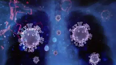 Anti-covid drug developed by DRDO was approved