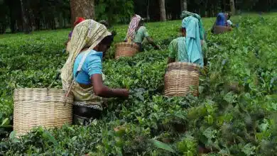 Assam News Woman allegedly raped on her way home from hospital no ambulance