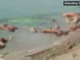 Covid terror in the city with more than over 40 bodies on banks of ganga in Bihar