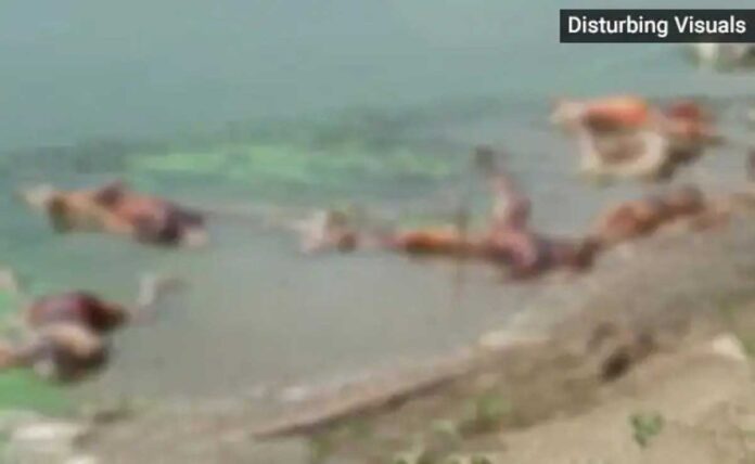 Covid terror in the city with more than over 40 bodies on banks of ganga in Bihar