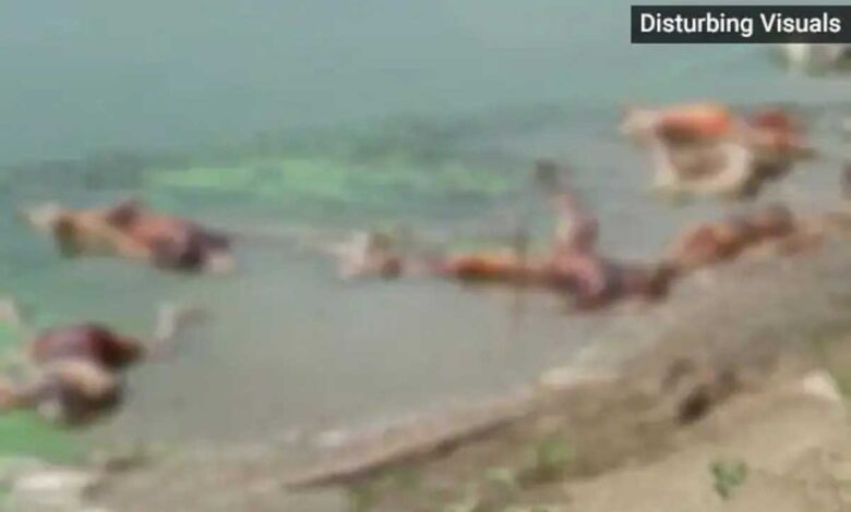 Covid terror in the city with more than over 40 bodies on banks of ganga in Bihar