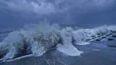 Cyclone Yaas hits northern Odisha, Bengal on high alert