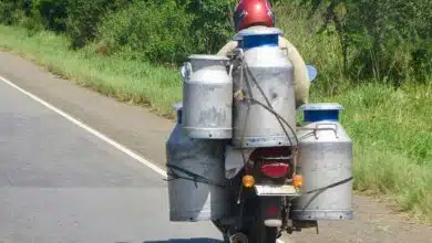 Liquor supply in Milk Containers in Delhi