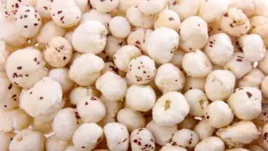 Makhana full of health benefits, know its medicinal properties