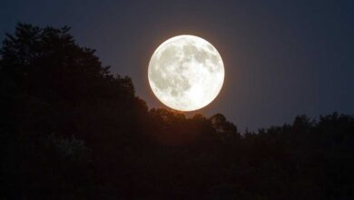Vaishakha Purnima 2021 When and how to perform Puja