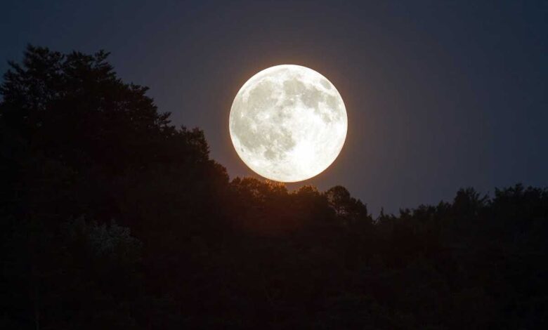 Vaishakha Purnima 2021 When and how to perform Puja