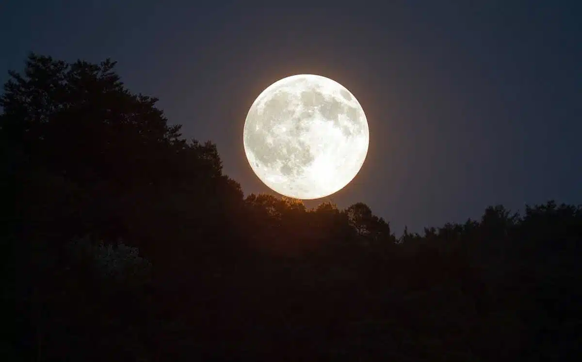 Vaishakha Purnima 2021: वैशाख पूर्णिमा पूजा कब और कैसे करें