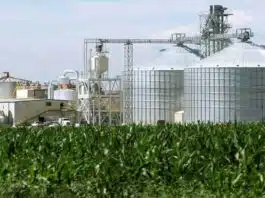 78,000 tonnes of FCI rice to be used for ethanol production this year