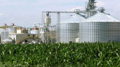 78,000 tonnes of FCI rice to be used for ethanol production this year