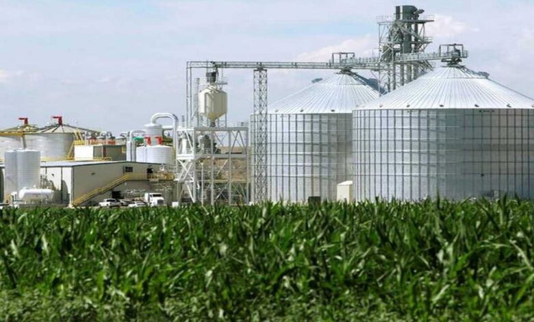 78,000 tonnes of FCI rice to be used for ethanol production this year