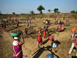 The Gujarat government called the MGNREGA scheme a 'life saver' for labourers during the COVID-19 pandemic