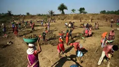 The Gujarat government called the MGNREGA scheme a 'life saver' for labourers during the COVID-19 pandemic
