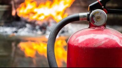 Massive fire at Gujarat Ink factory