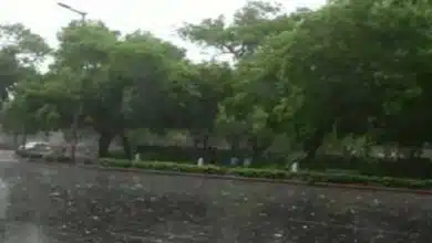 May records second highest rainfall in 121 years IMD