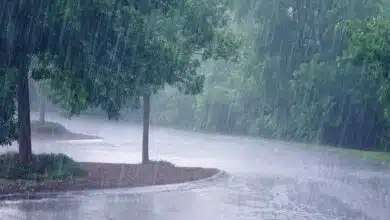 Monsoon likely to reach parts of Odisha, Bihar, Bengal by June 15 IMD