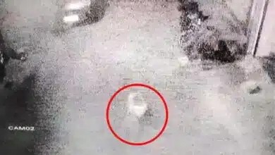 On CCTV, UP Girl Thrown From 2nd Floor Home Allegedly By Her Molesters