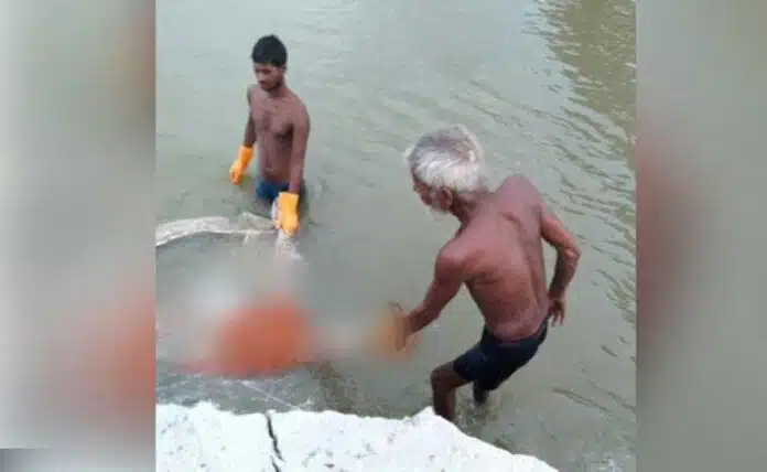 Prayagraj UP Mass graves are floating above as the water rises in the Ganges