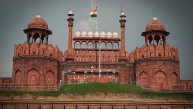 Removal of Toxic Industries in Delhi, Removal of Overhead Wires Master Plan Delhi 2041