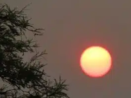 Delhi maximum temperature was recorded at 39.8 degree Celsius on Sunday