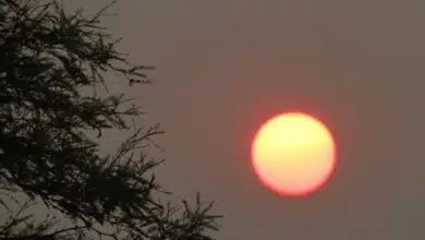 Delhi maximum temperature was recorded at 39.8 degree Celsius on Sunday