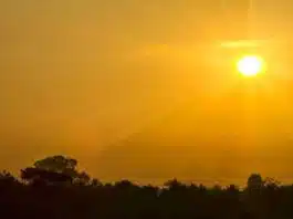 Delhi in the grip of heatwave for the third consecutive day, at 43.1 degrees