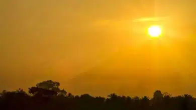 Delhi in the grip of heatwave for the third consecutive day, at 43.1 degrees