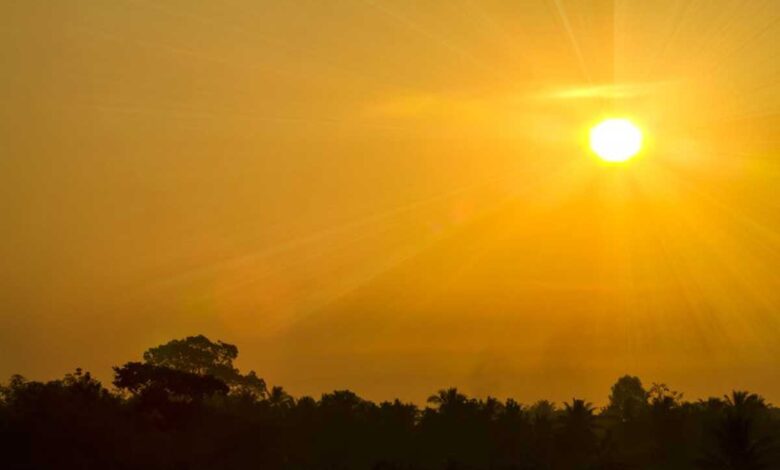 Delhi in the grip of heatwave for the third consecutive day, at 43.1 degrees