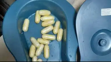 2 Zambian men arrested for smuggling ₹7.36 cr heroin at Delhi airport