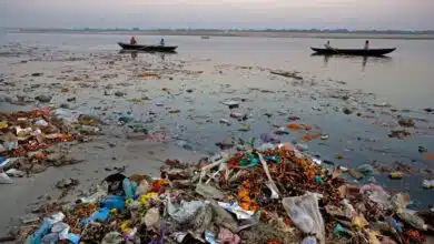 Pollution from Microplastics in River Ganga