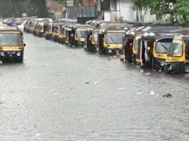 Mumbai local train service affected, Mithi river in spate, 250 people shifted