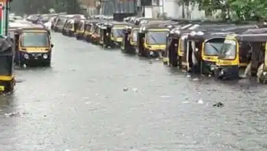 Mumbai local train service affected, Mithi river in spate, 250 people shifted