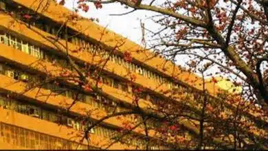 over alleged mass conversion, Enforcement Directorate raids in Delhi, UP