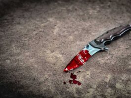 After his wife murder, man went to the police station with a knife covered in blood