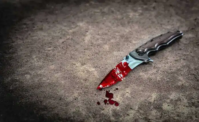 After his wife murder, man went to the police station with a knife covered in blood