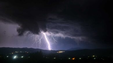 Death of selfie takers due to lightning in Jaipur, 41 deaths in UP