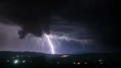 Death of selfie takers due to lightning in Jaipur, 41 deaths in UP