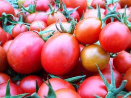 Know about the hidden benefits of Tomato