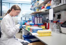 236000 more Covid deaths in Europe by 1 December: WHO warning