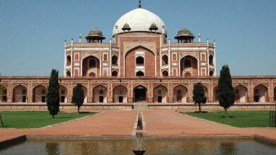Dara Shikoh's grave has not been found: Archaeological Survey of India