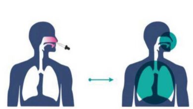 Nasal COVID-19 Vaccine Of Bharat Biotech Gets Nod For Phase 2/3 Trial
